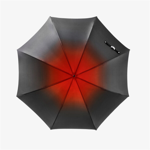 Dragon straight umbrella - Image 3