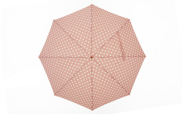 French fighting dog spotted umbrella