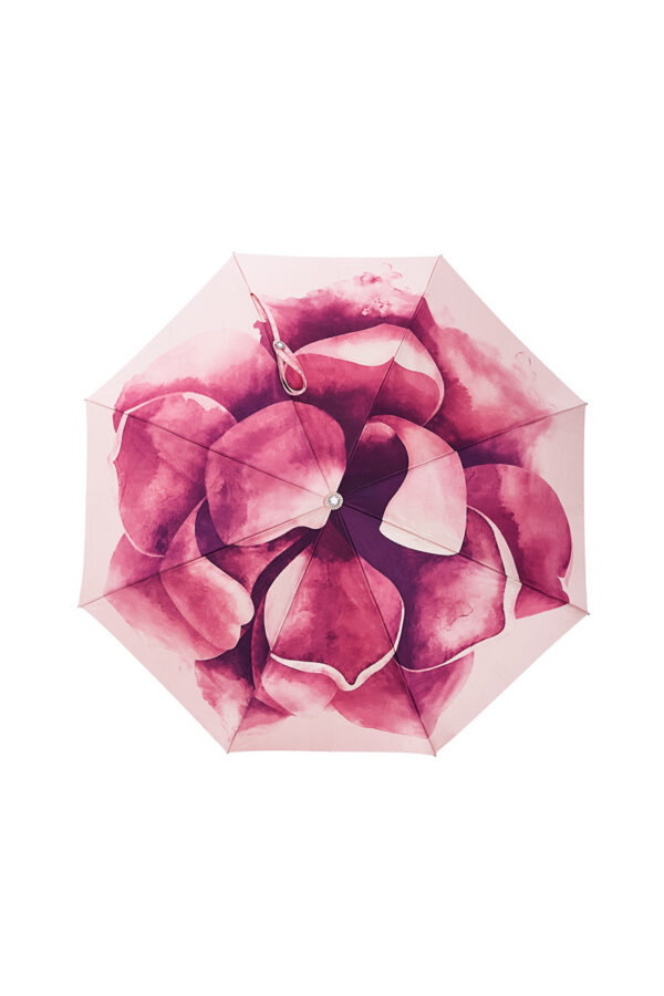 Conch folding umbrella - Image 7