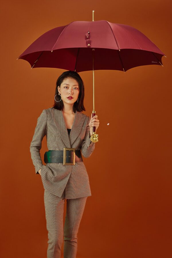 The horse straight umbrella - Image 4