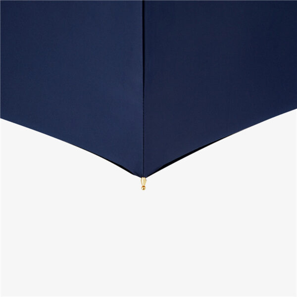 Blue swallowtail double umbrella - Image 3