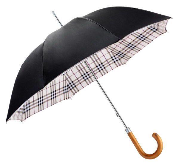 Fraxinus mandshurica-double umbrella - Image 4