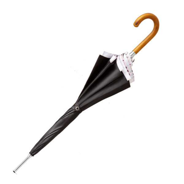 Fraxinus mandshurica-double umbrella - Image 2