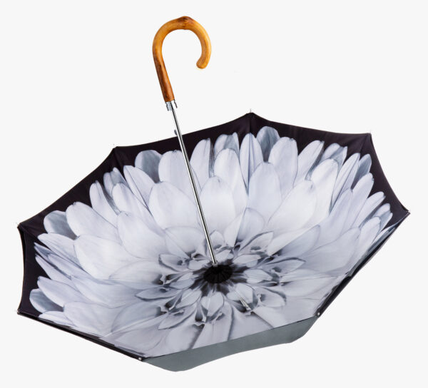 Rattan Elbow-White Dahlia-Long Handle Umbrella - Image 3
