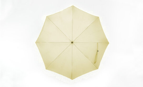 Bent lace umbrella rose - Image 2