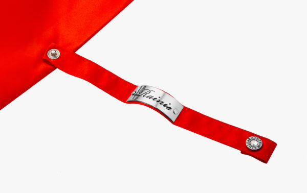 Gem-Carmine-Folding Umbrella - Image 4