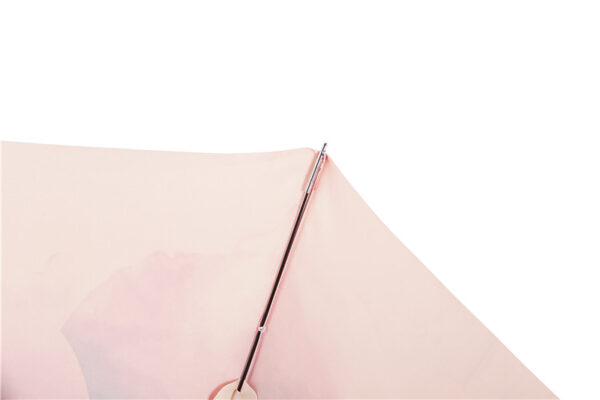 Conch folding umbrella - Image 6