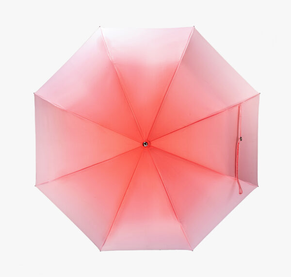 Leaf Scepter Jie Rui Folding Umbrella - Image 4