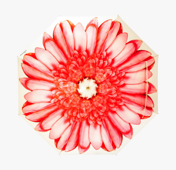 Flamingo red daisy folding umbrella - Image 4