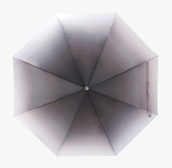 Diamond Scepter-Rye-Folding Umbrella - Image 3