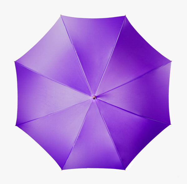 Milo-straight and exquisite-long handle umbrella - Image 4