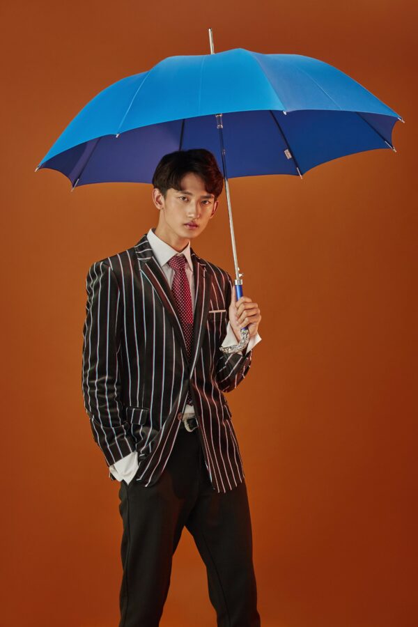 The silver eagle umbrella - Image 4