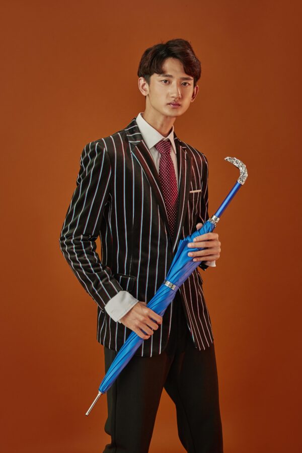 The silver eagle umbrella - Image 3