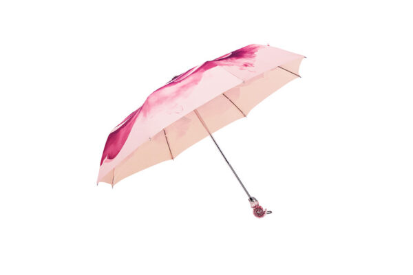 Conch folding umbrella - Image 3
