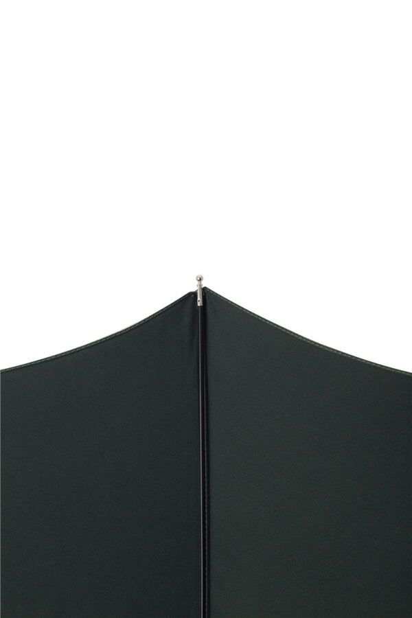 Two-fold mountain eagle folding umbrella - Image 4
