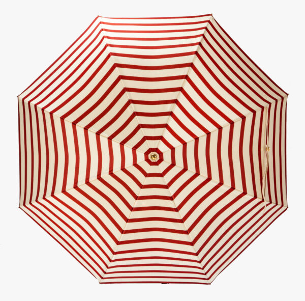 Rabbit-strip grid R5-folding umbrella - Image 3