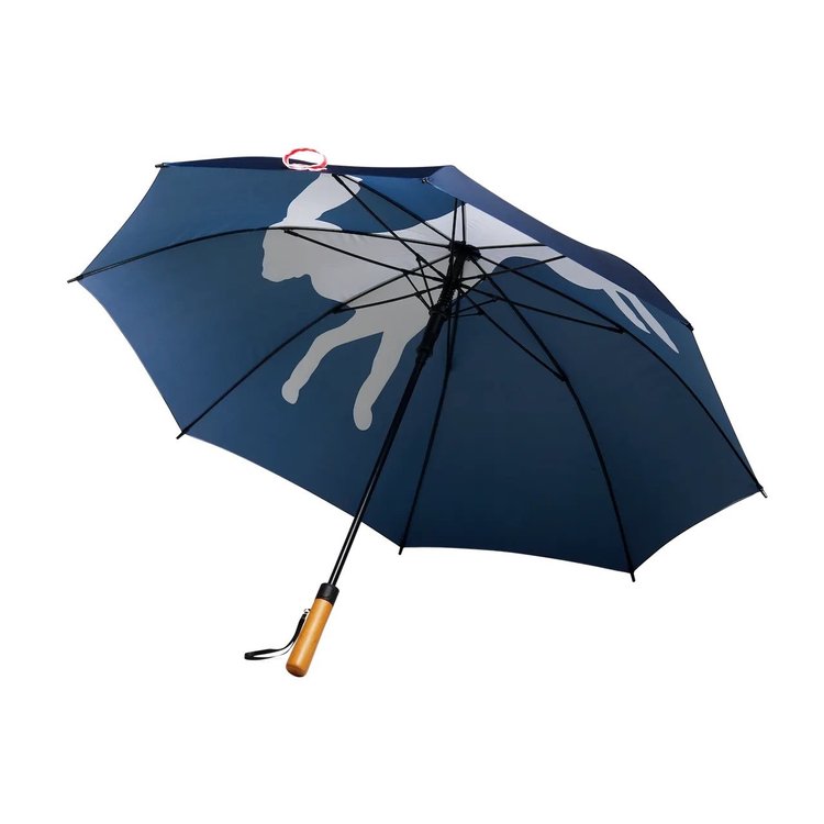 雨傘批發