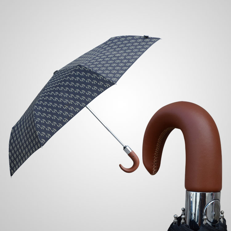 Umbrella