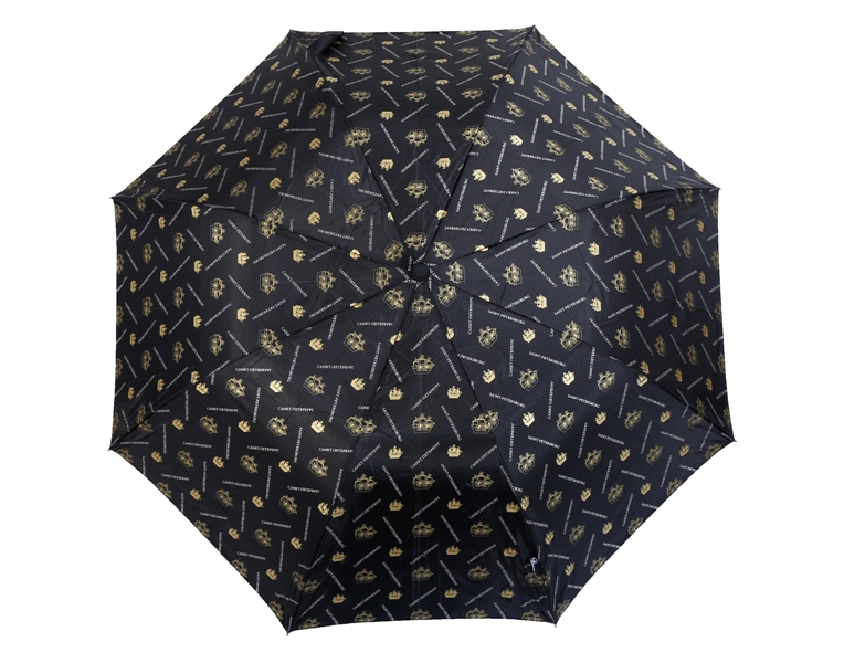 custom auto open 2 fold black rubber handle umbrella for business professionals