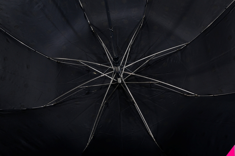 custom auto open 2 fold black rubber handle umbrella for business professionals