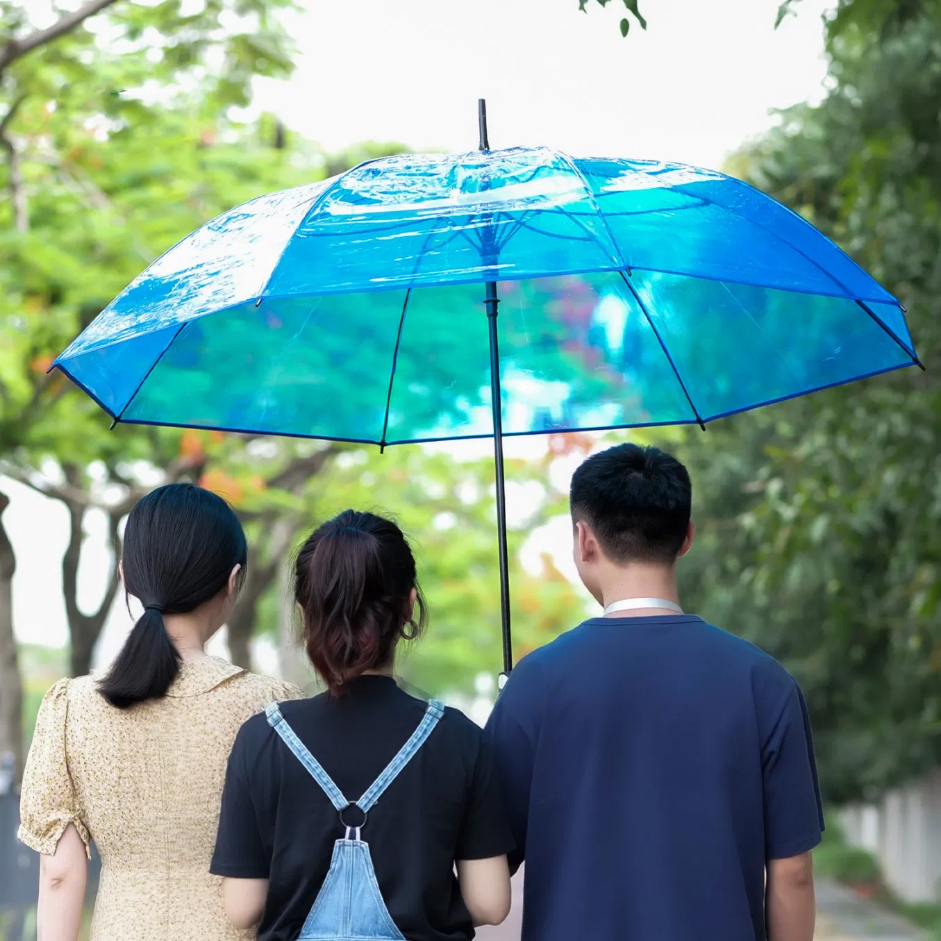 custom hi key design waterproof pvc transparent umbrella
